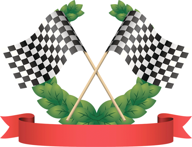 F1方格旗f1各种旗子的含义